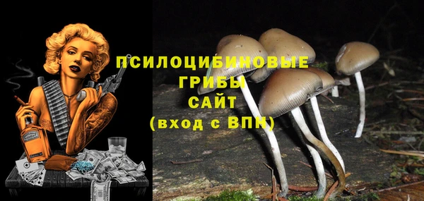гидра Сосновоборск