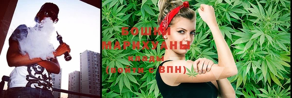молекула духа Строитель