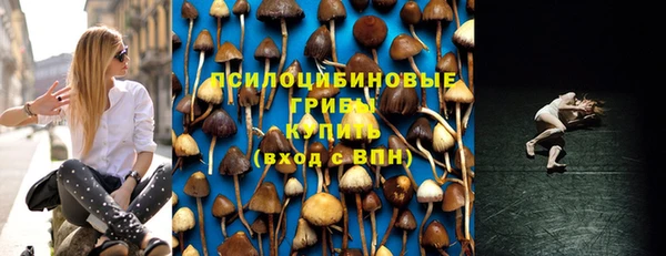 хмурый Бронницы