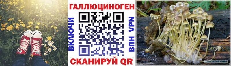 hydra маркетплейс  Семёнов  Галлюциногенные грибы Magic Shrooms  где продают наркотики 